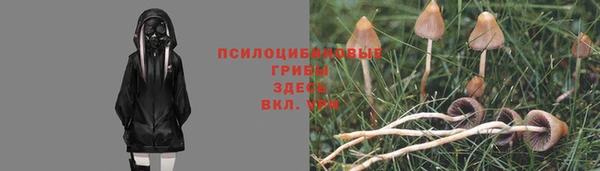 ешки Бронницы