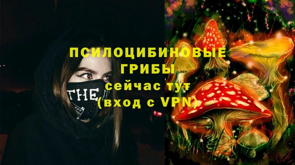 эйфоретик Верея