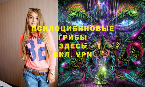 ешки Бронницы